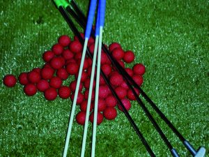 Midgetgolfstick, volwassen