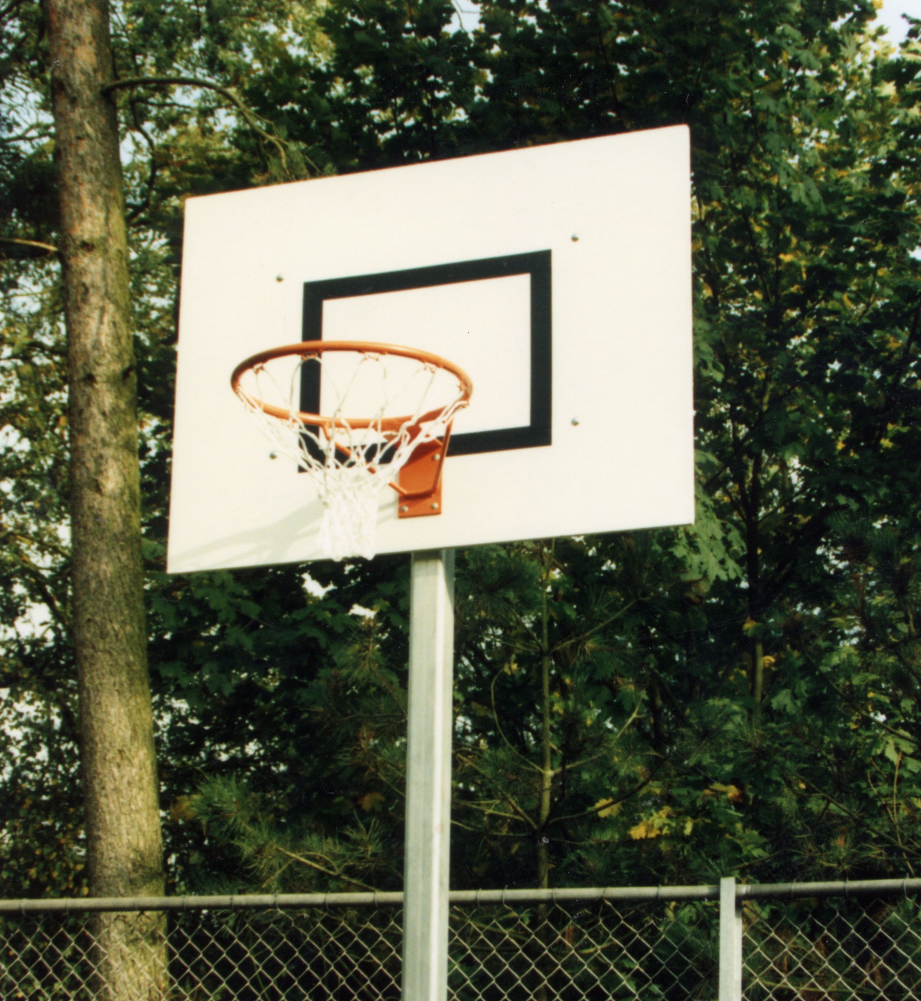 invoeren Koning Lear manager Basketbalring met net - Pluim en Sports